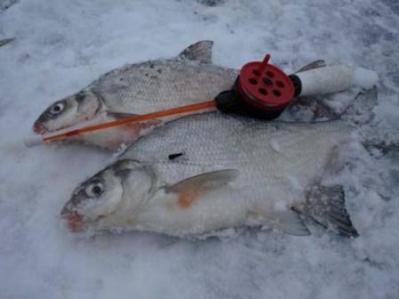 У опытных рыболовов - свои рецепты прикормки для леща зимой